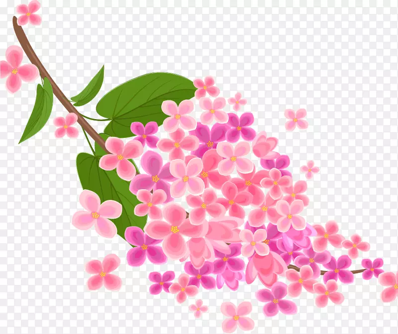 粉红色花卉设计-花卉