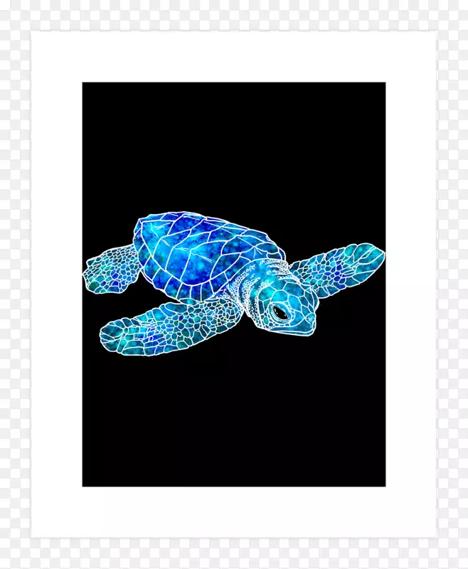 海龟水彩画艺术