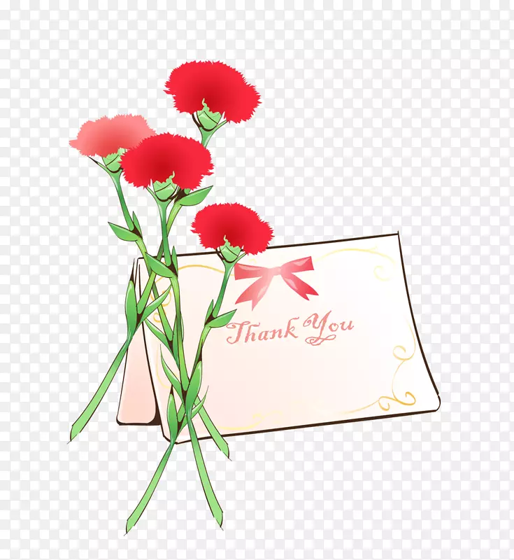 康乃馨母亲节鲜花节母亲节