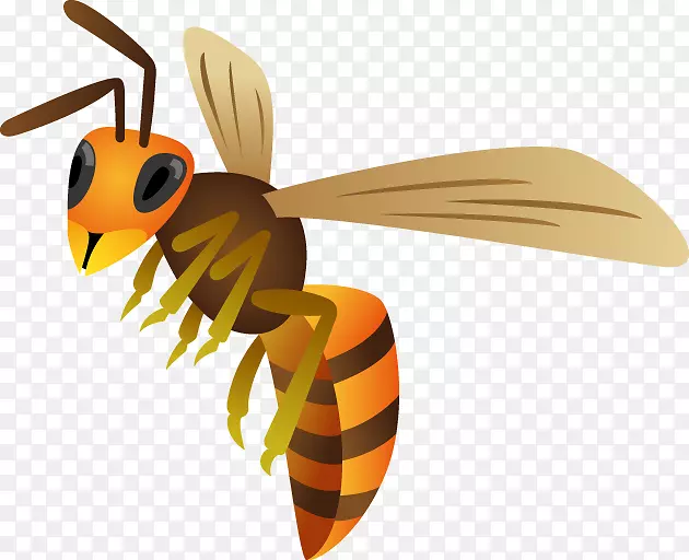 蜜蜂黄蜂真黄蜂-蜜蜂