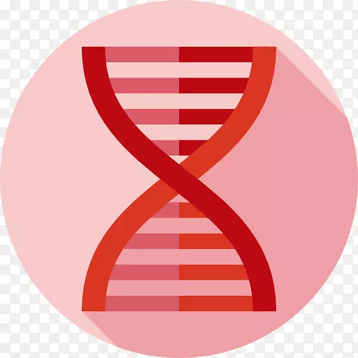 核酸的DNA遗传学生物学分子结构：脱氧核糖核酸化学载体结构