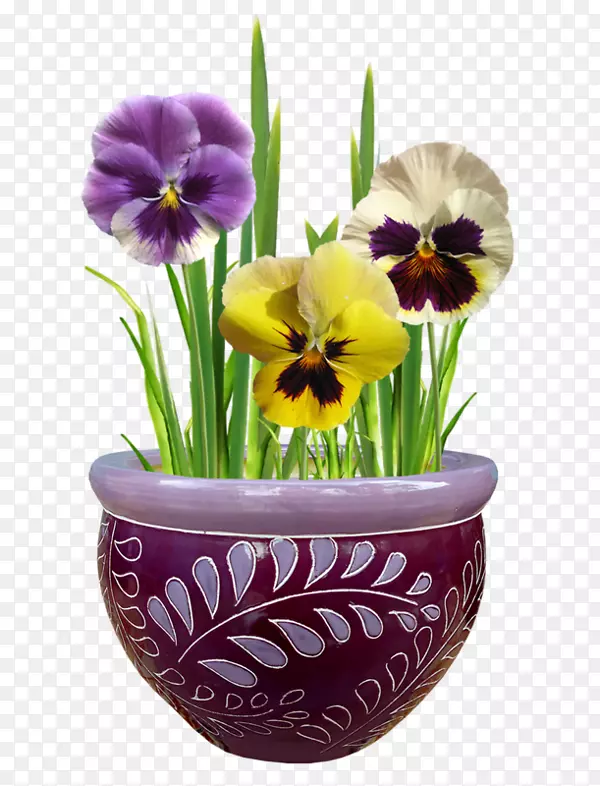 花盆-瓷盆