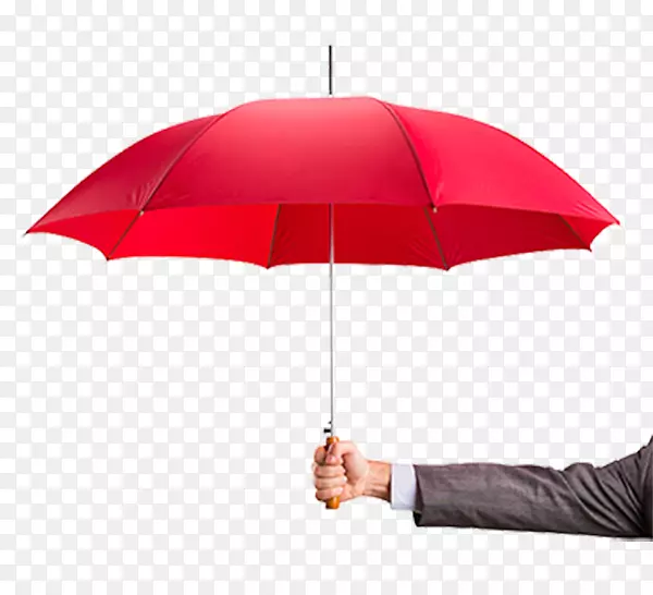 雨伞保险农民保险-伊恩鲁宾农民保险集团责任保险-业务