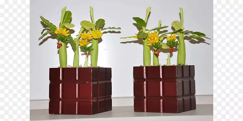 花卉设计花瓶-木花
