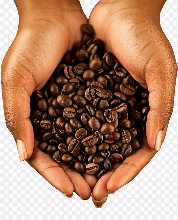 牙买加蓝山咖啡摄影咖啡豆可可豆咖啡