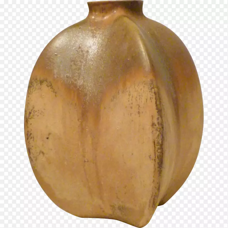 花瓶种子植物瓷器花瓶