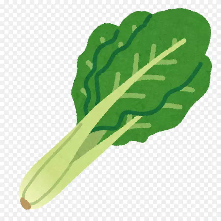 卡拉希蔬菜菠菜-蔬菜
