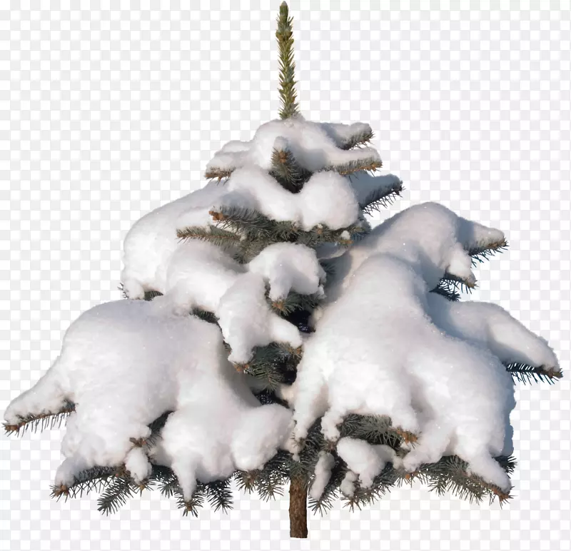 圣诞树装饰剪贴画-雪树