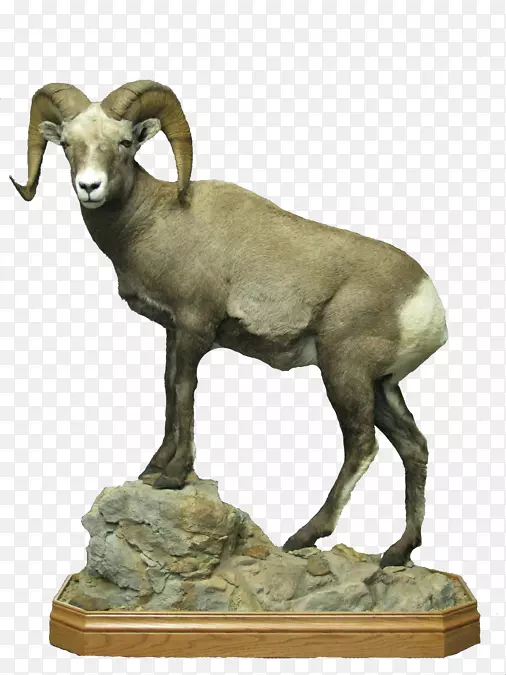 羊衣架山羊线羊