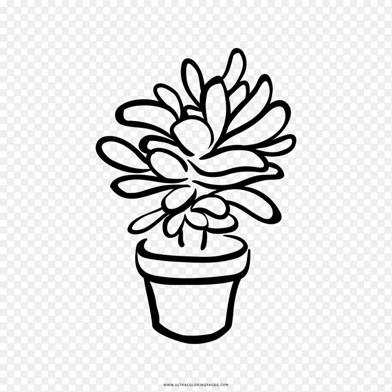 黑白肉质植物绘画剪贴画-植物