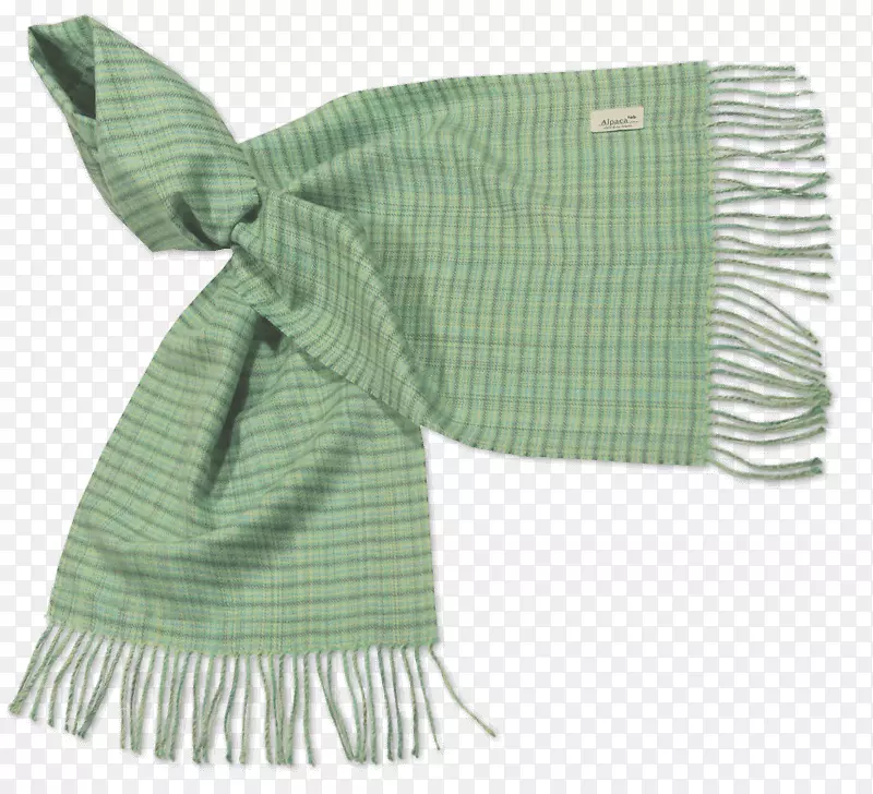 纺织品绿色龙舌兰-带围巾宝宝