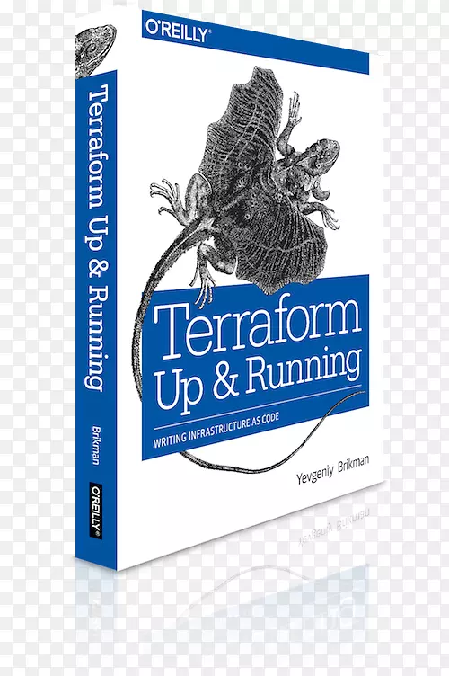 TerraForm：启动和运行：将基础设施编写为代码，google云平台，云计算-云计算