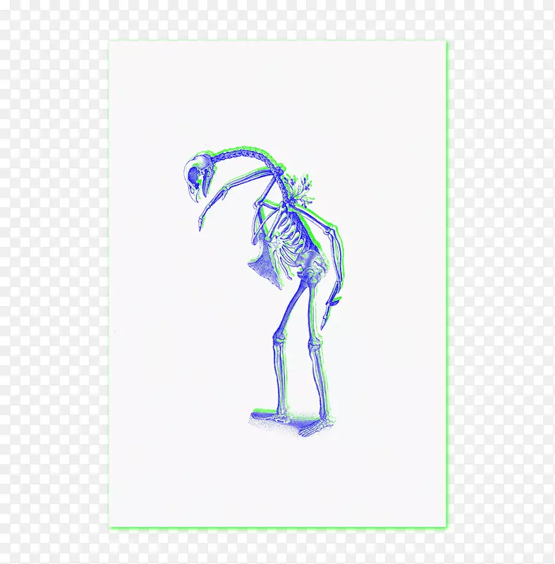 绘画艺术绿松石动物/m/02csf-人类标本