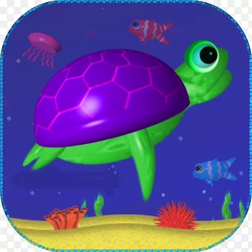 海龟海洋生物学-海龟