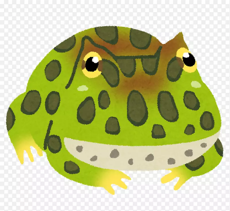 真蛙阿根廷角蛙いらすとや-蛙