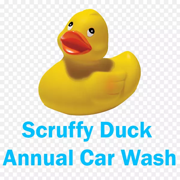 橡胶鸭调试天然橡胶玩具-洗车筹款