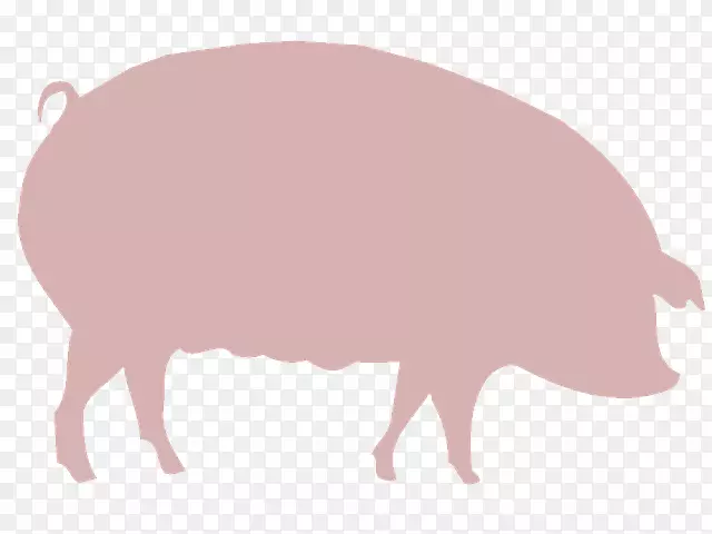 国内养猪场剪贴画-猪