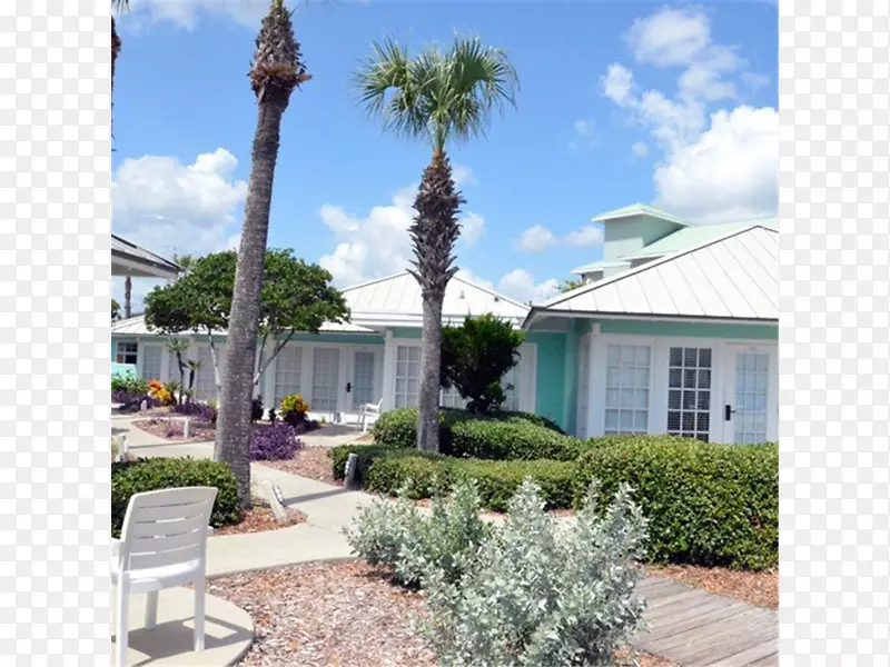 后院物业树住宅区草坪海滩椰子