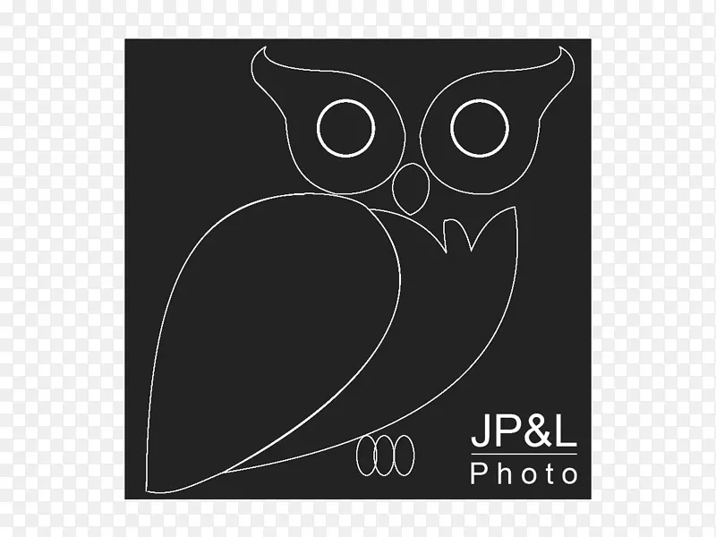 OWL商标矩形字体-OWL