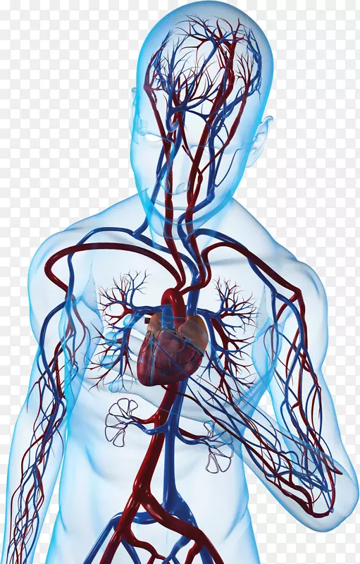 心肌梗塞先天性心脏病心血管病心绞痛-心脏
