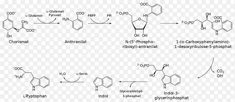 色氨酸-莽草酸途径合成脉络酸化学合成-其它途径