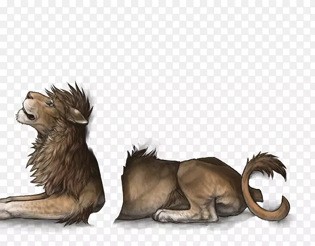 狮子，大猫，老虎，野猪-狮子