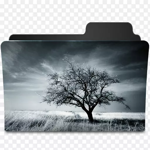 计算机图标树摄影