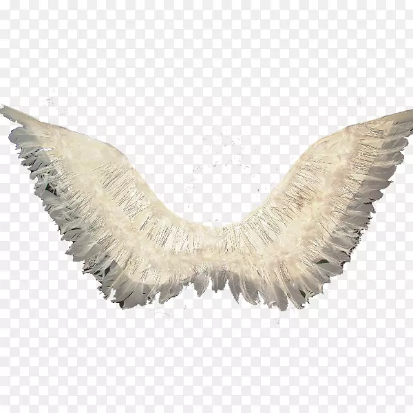 天使翅膀羽毛ТропикПарти-羽毛