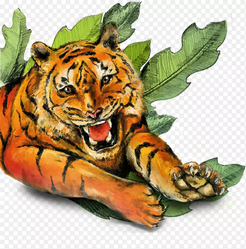 虎猫地球野生动物拯救地球