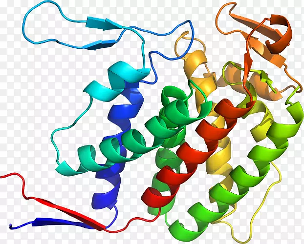 线点生物剪贴画线