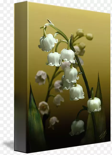 花卉设计花瓶桌面壁纸开花植物-百合花山谷