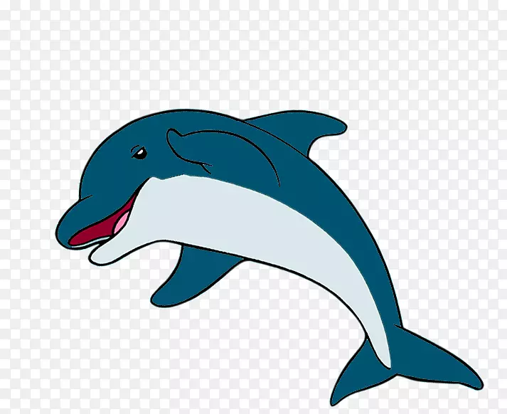普通宽吻海豚短喙普通海豚图库溪粗齿海豚全口海豚