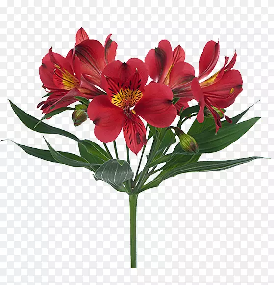 印加百合切花花型花束