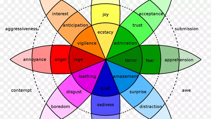 情商情感在心理治疗实践中对情绪的理解-13个原因