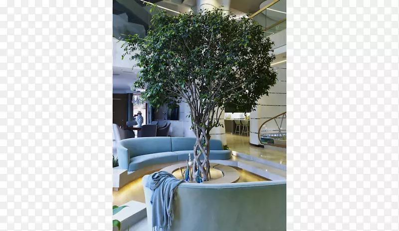 物业树，家具，室内植物