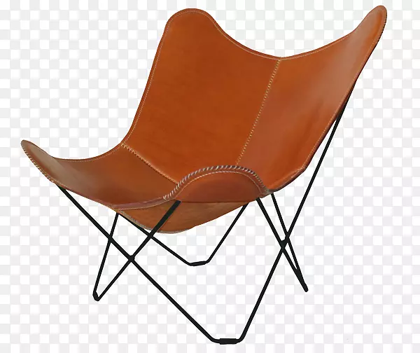 Eames躺椅，蝴蝶椅，翼椅，皮革椅