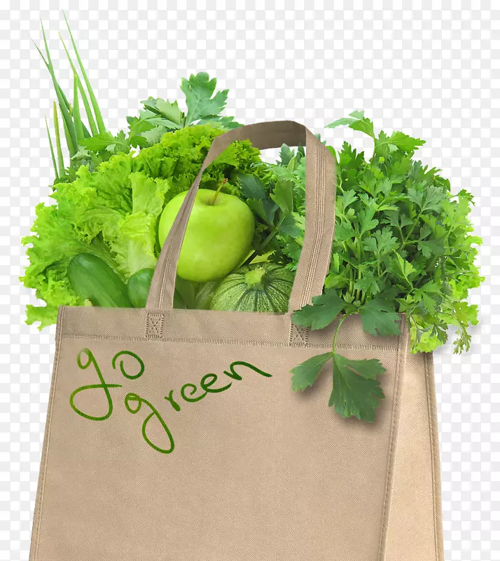纸袋存货摄影食品杂货店蔬菜