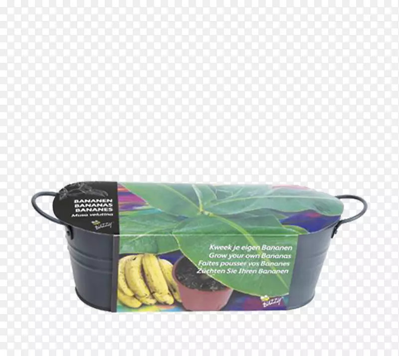 香蕉无烟煤种子草本植物kleurplaat-香蕉