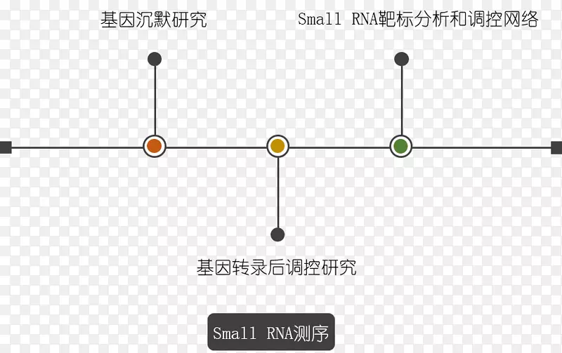 上海其明信息技术有限公司生物学微RNA转录-微RNA