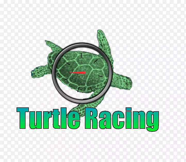 海龟标志牌绿色赛车传单