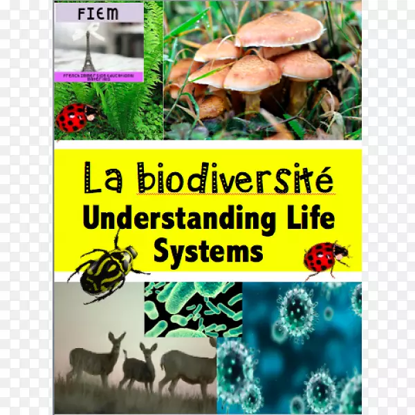 教育生物学学生生物多样性六年级-科学册