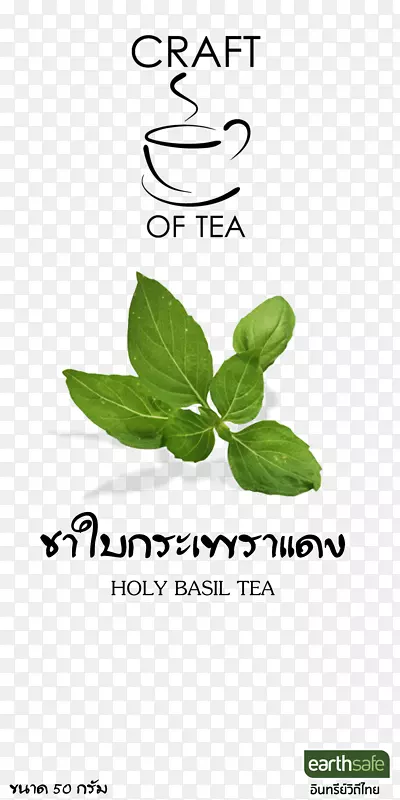 泰国菜圣罗勒草本植物晒干番茄茶农