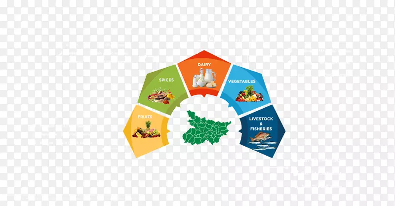 马哈拉施特拉邦食品加工，印度美食，农业，木瓜-商业