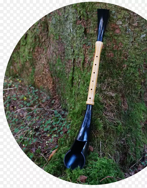 琵琶王威尔士树乐器的指环王在线树