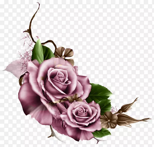 花园玫瑰，画框，花卉设计，插花艺术