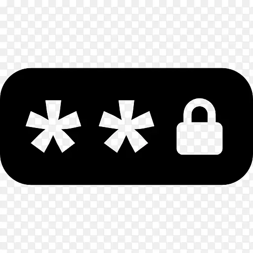 密码管理器计算机图标-Chang徽标
