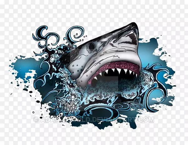 鲨鱼攻击图形设计鱼-鲨鱼攻击