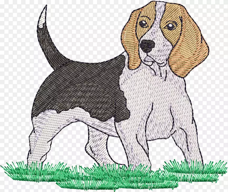 猎犬，英国猎犬，步行者，猎犬-小狗