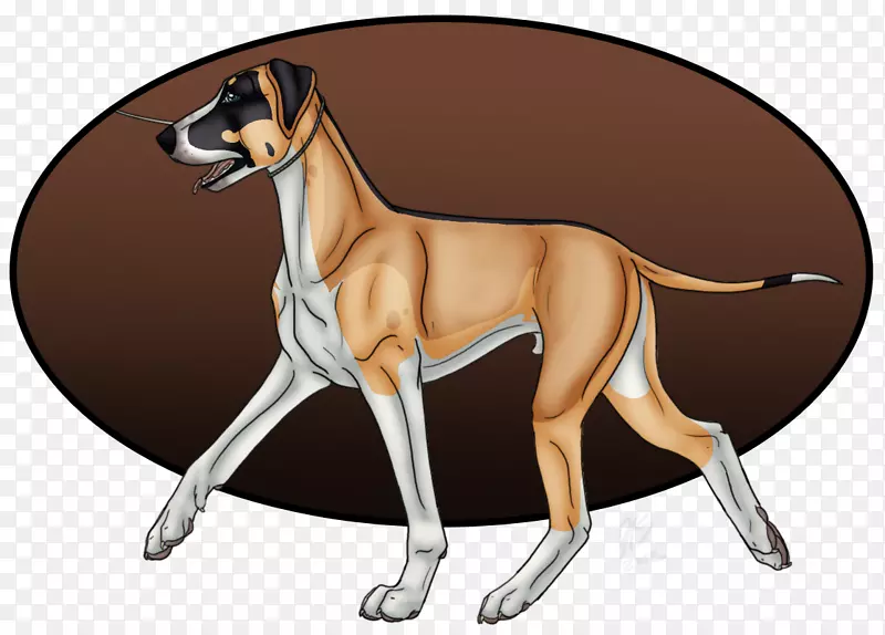伟大的丹麦犬，意大利灰狗，阿兹瓦赫犬品种-阿根廷狗