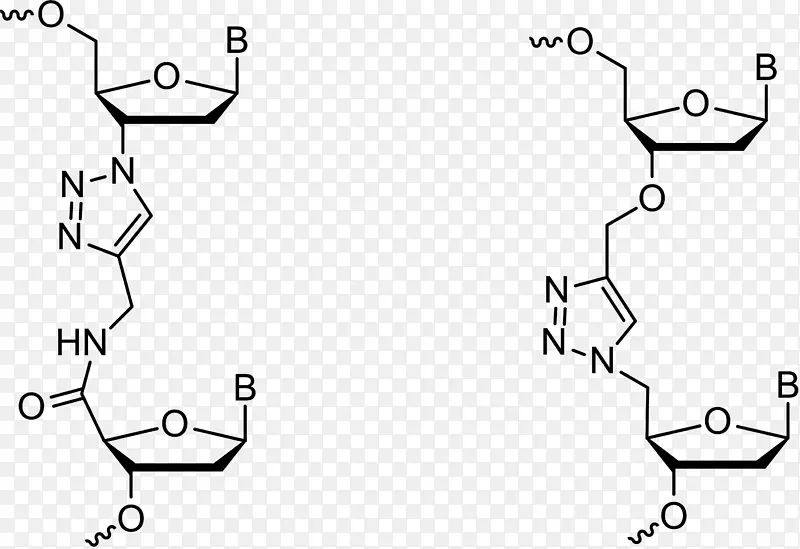 三唑点击化学反应寡核苷酸